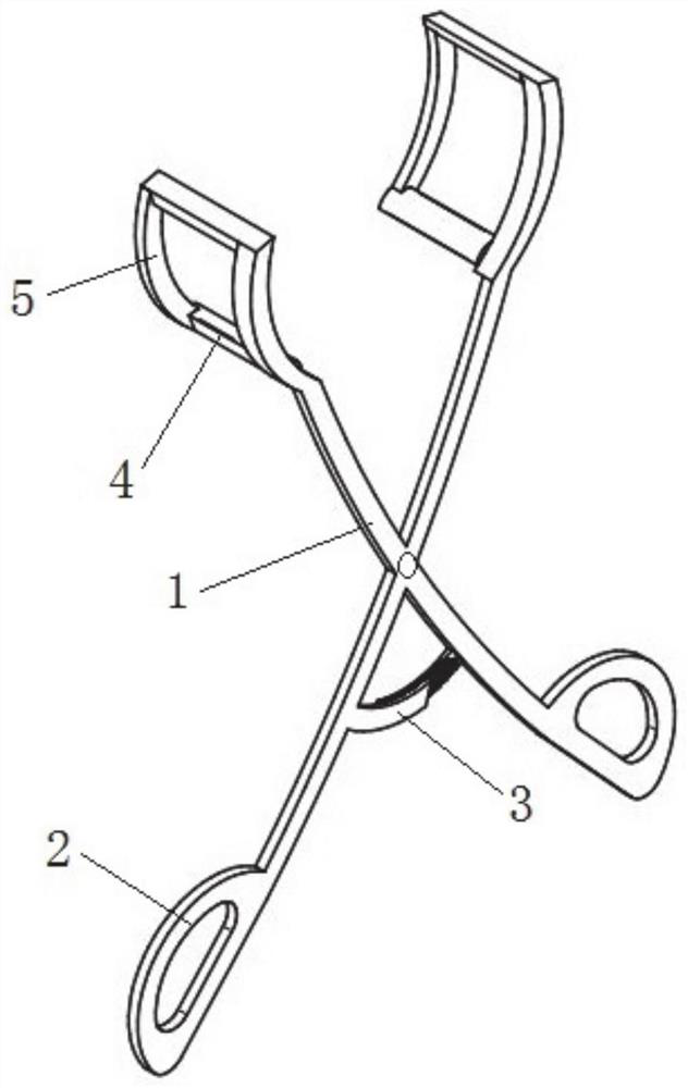 Urethral catheterization auxiliary device and method for elderly female