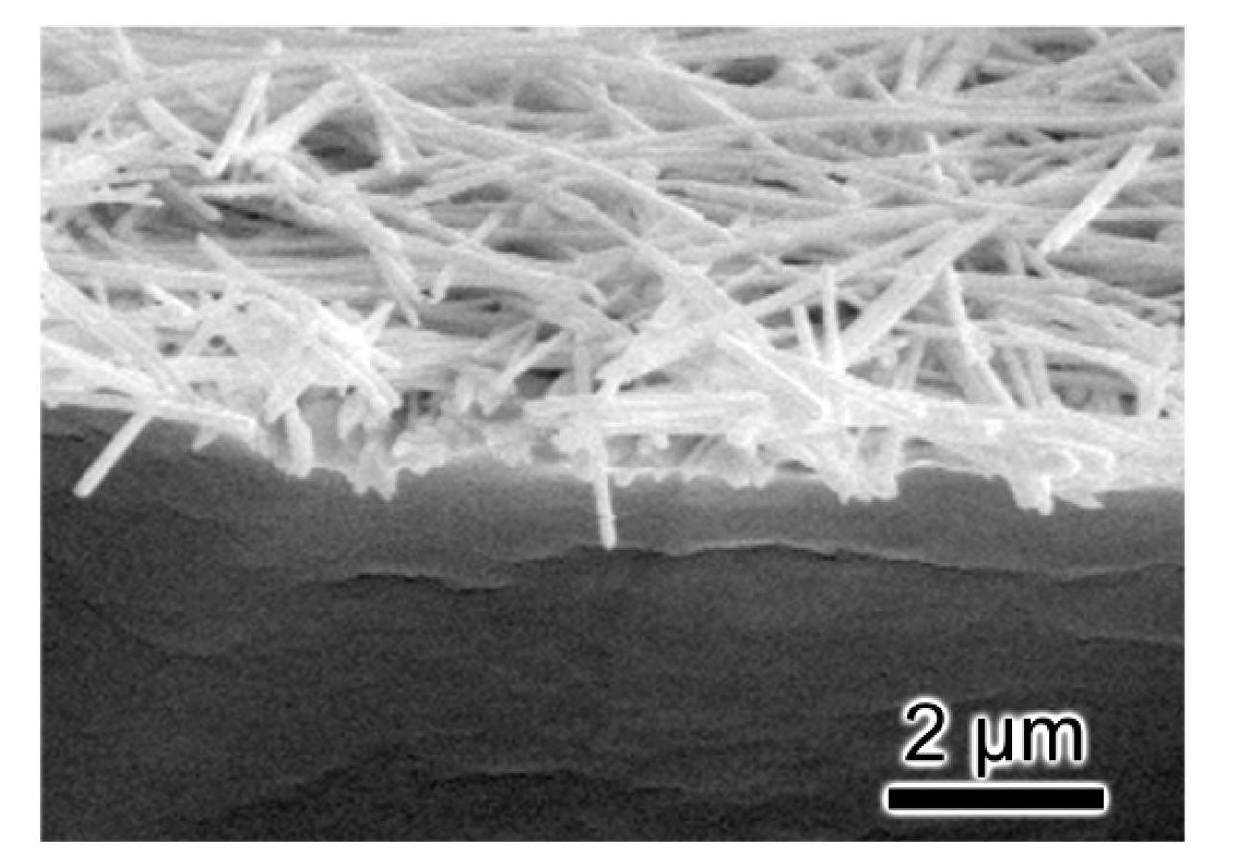 Preparation method of self-repairing conductive coating