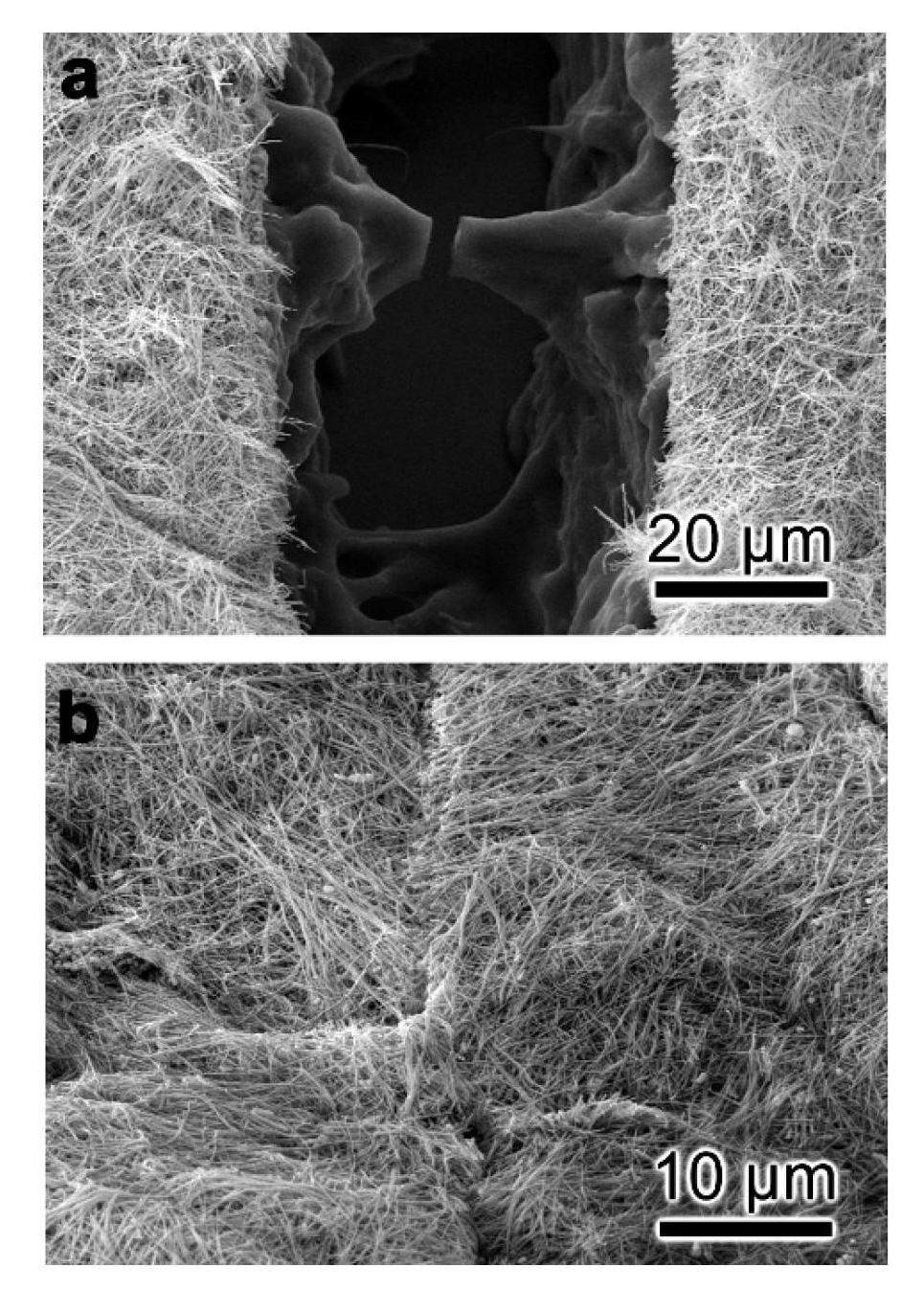 Preparation method of self-repairing conductive coating