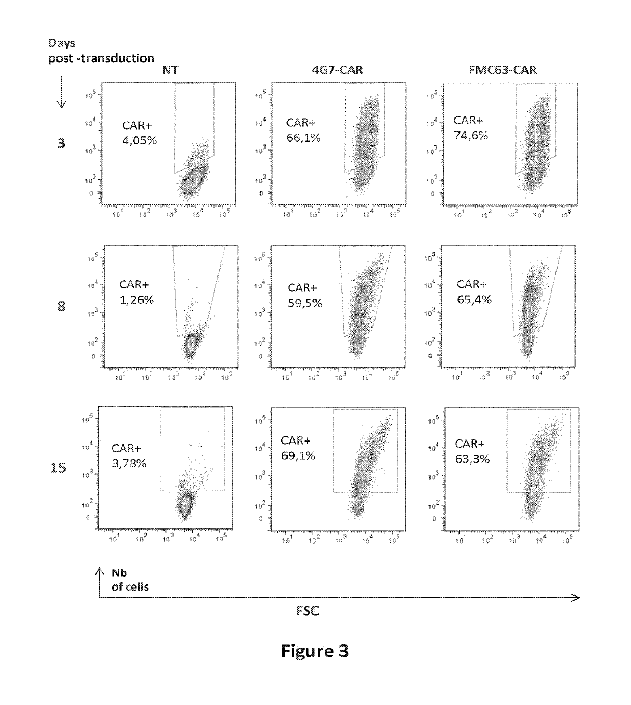 Cd19 specific chimeric antigen receptor and uses thereof