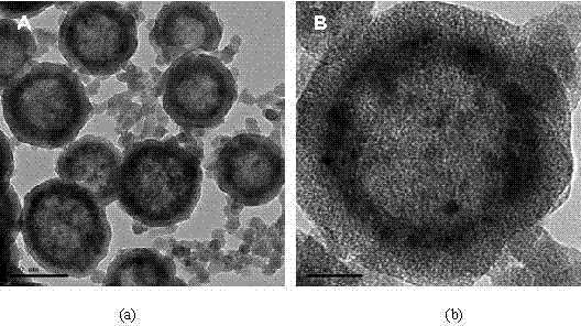 Preparation method for mesoporous silicon oxide hollow microspheres with magnetic nanoparticles embedded in shell layers