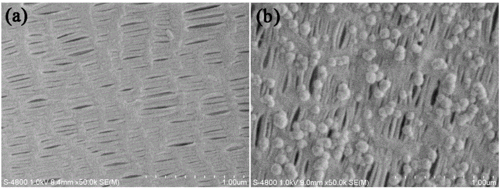 Modified polyolefin membrane coated with silicon dioxide layer and preparation method thereof