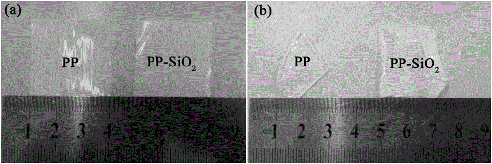 Modified polyolefin membrane coated with silicon dioxide layer and preparation method thereof