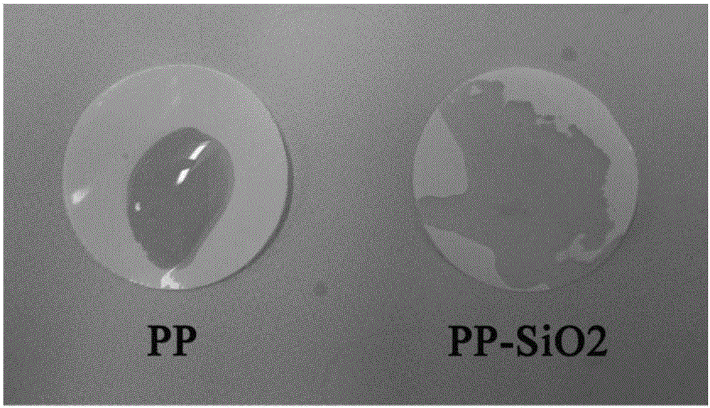 Modified polyolefin membrane coated with silicon dioxide layer and preparation method thereof