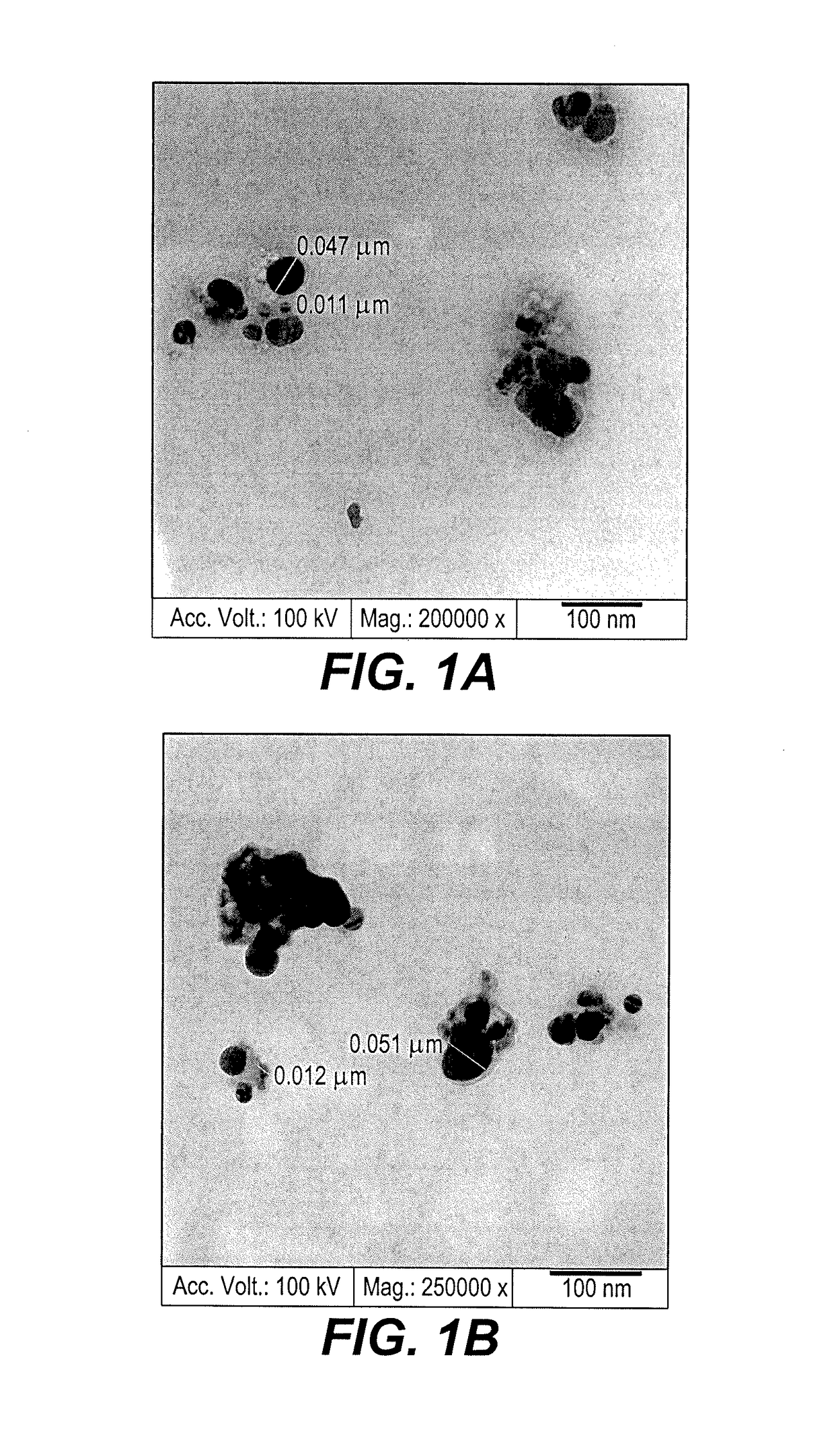 Synthesis of silver-PMMA nanocomposite film using herbal extract