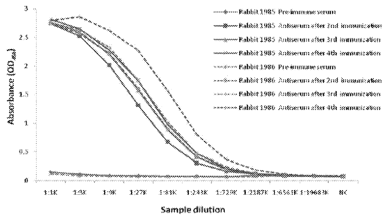 Anti-pembrolizumab antibodies