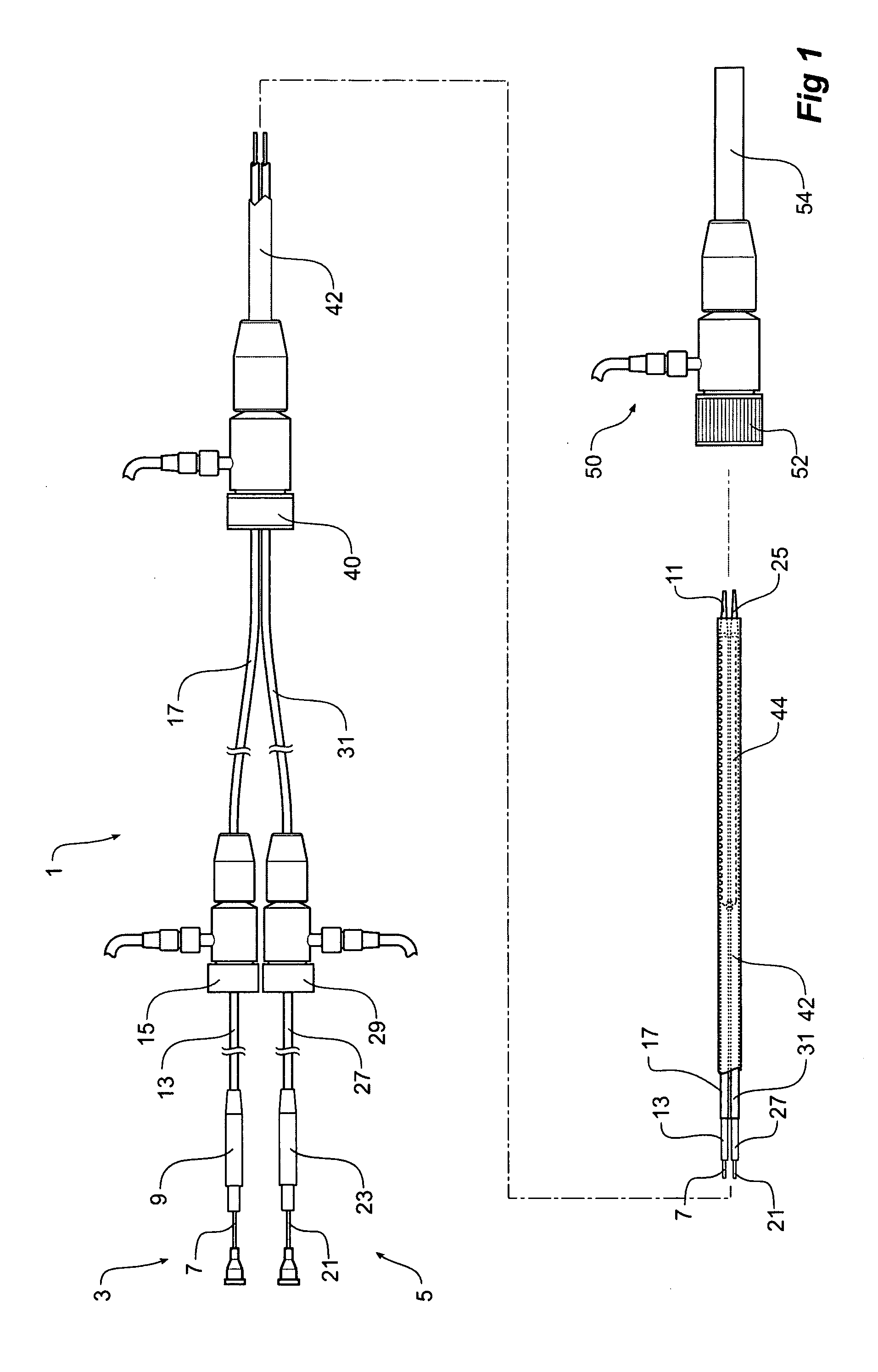 Endoscopic delivery device