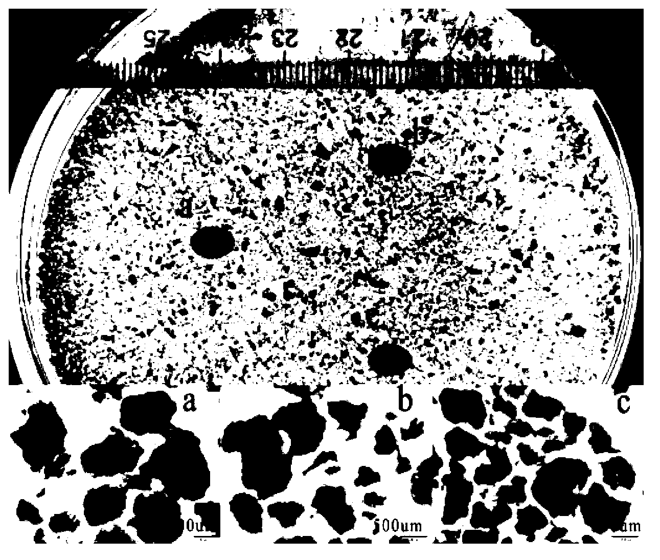 Method for rapid starting of anaerobic ammonium oxidation granular sludge by using UASB