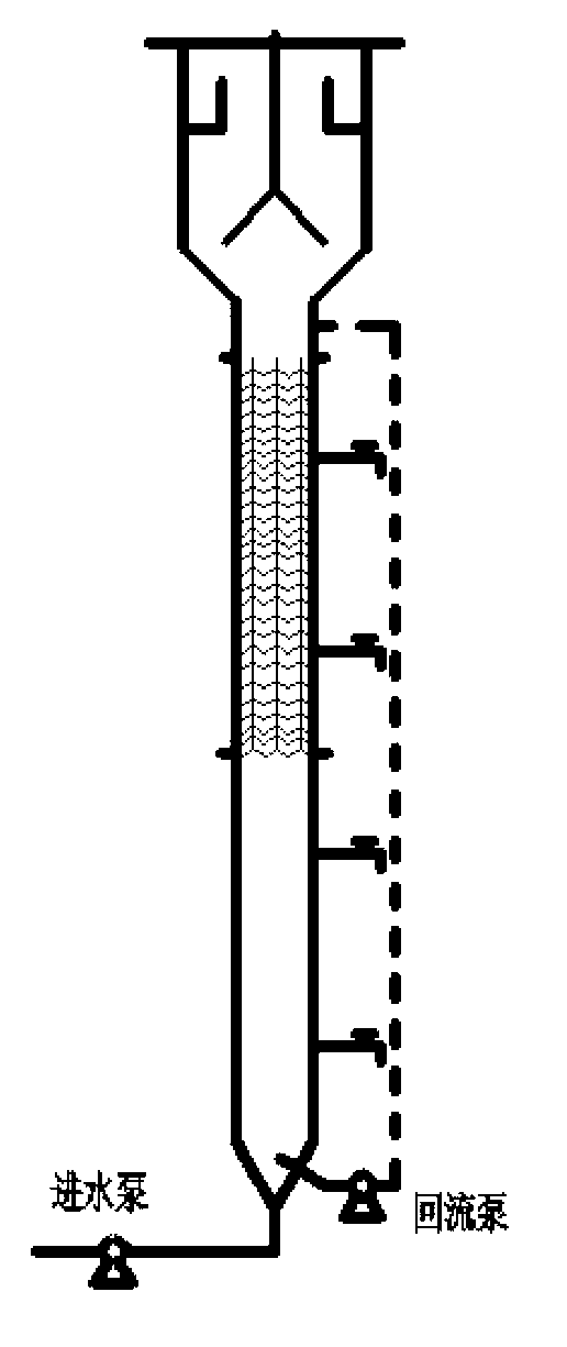 Method for rapid starting of anaerobic ammonium oxidation granular sludge by using UASB