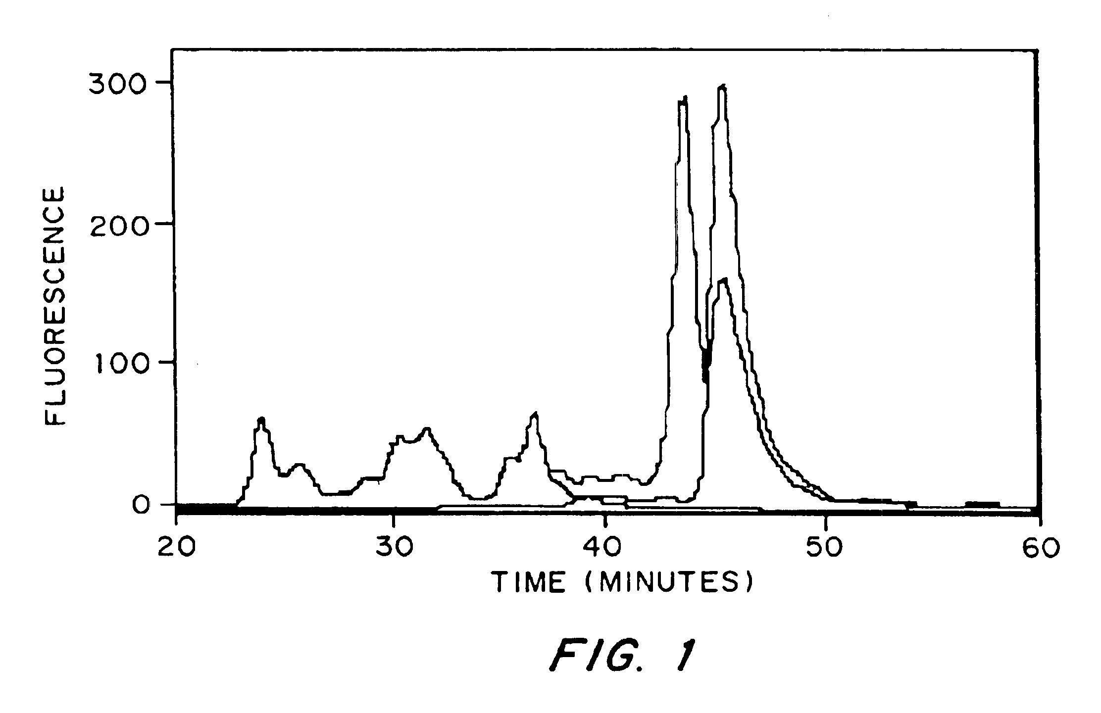 Growth factor modified protein matrices for tissue engineering