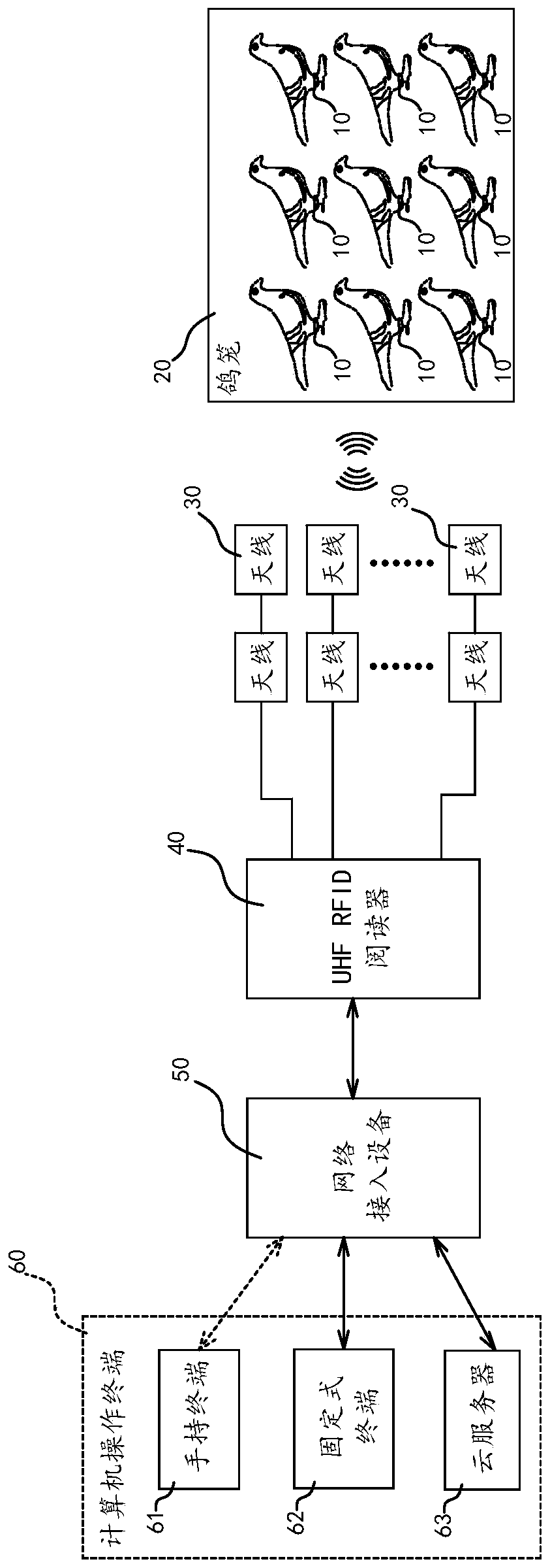 Novel rapid pigeon collecting system and pigeon collecting method adopting pigeon collecting system