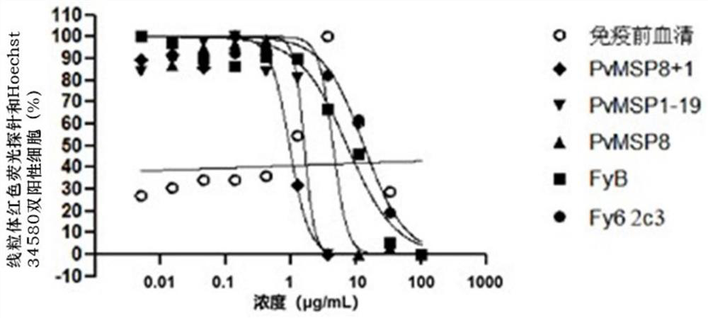 An antibody that inhibits the growth of Plasmodium cynomolgus monkeys in vitro