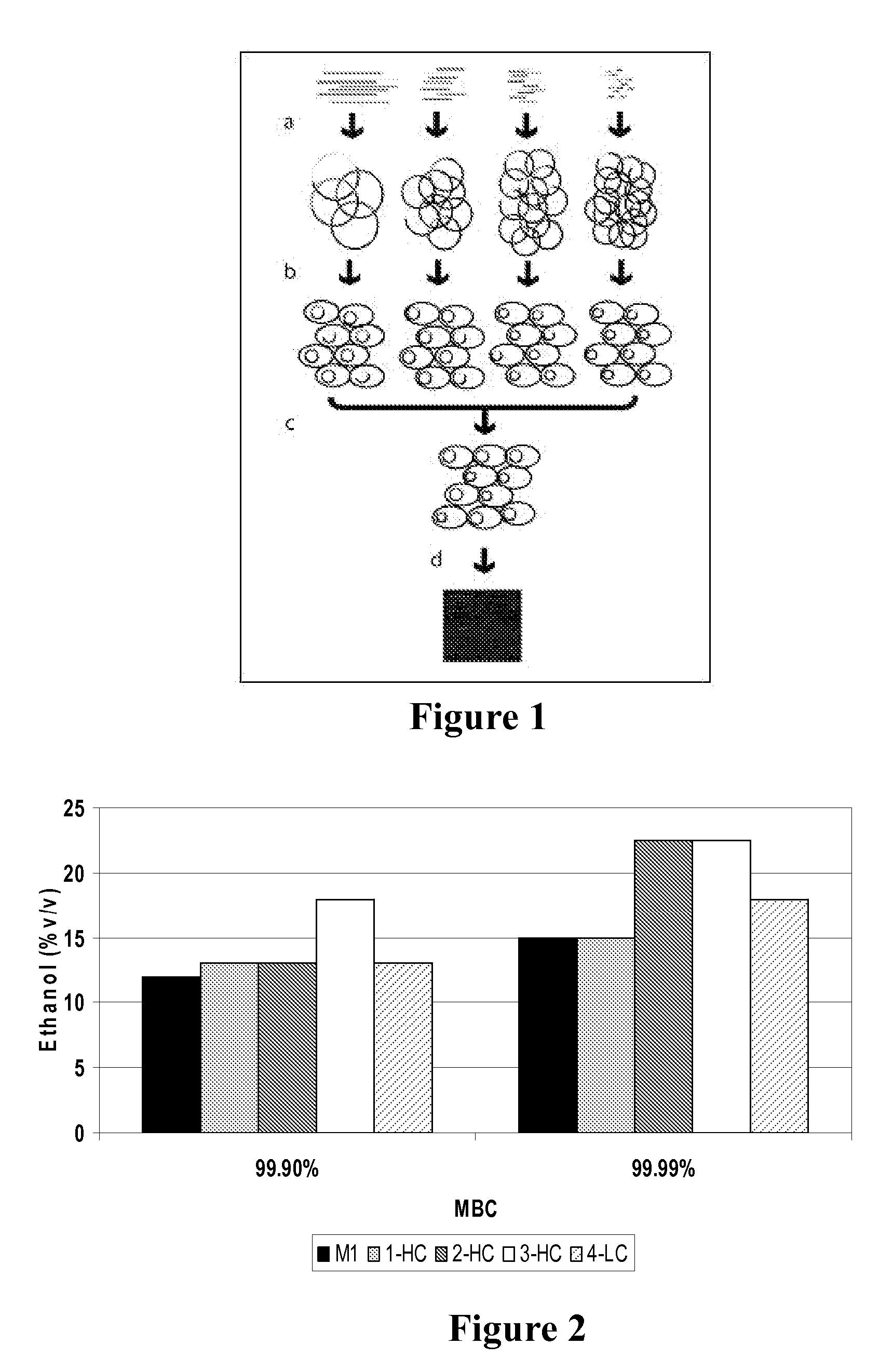 Enhanced alcohol tolerant microorganism and methods of use thereof