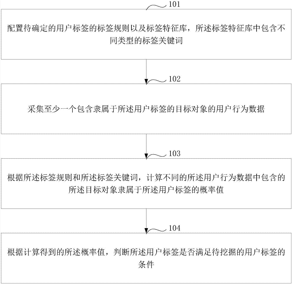 User tag determination and information pushing method and device