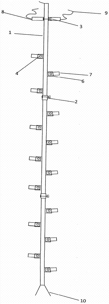 Portable insulator crawling ladder