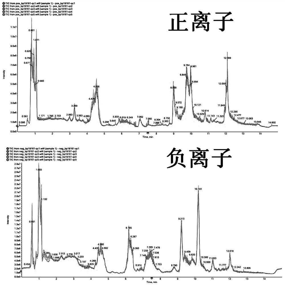 A research method based on metabolomics for jujube flower nectar-induced toxic effects on bees