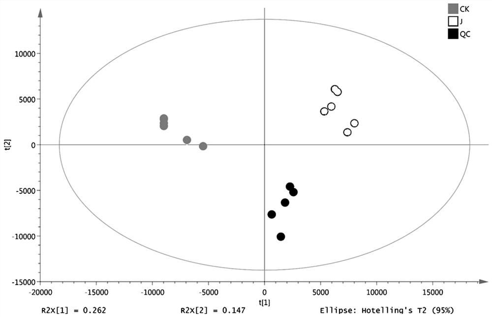 A research method based on metabolomics for jujube flower nectar-induced toxic effects on bees