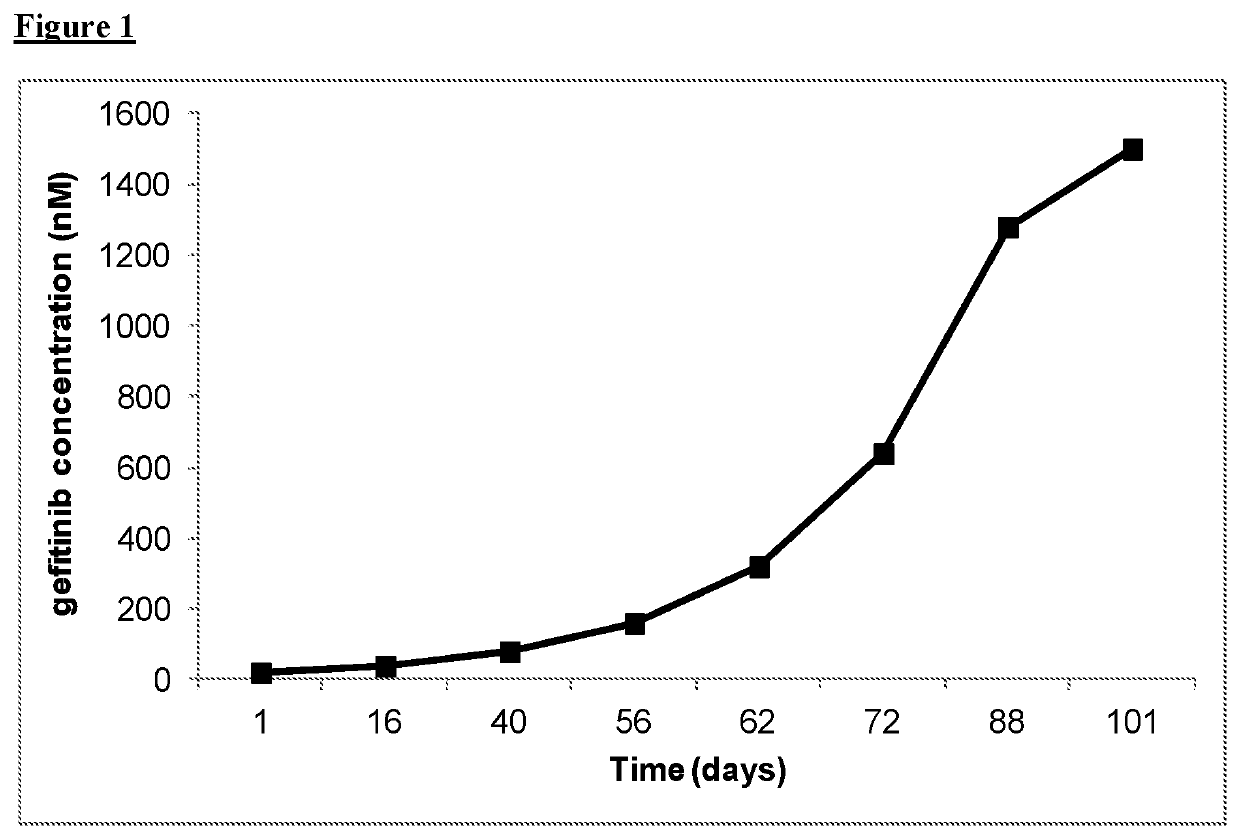 Combination of EGFR Inhibitor and MEK Inhibitor for use in the treatment of NRAS mutated cancer