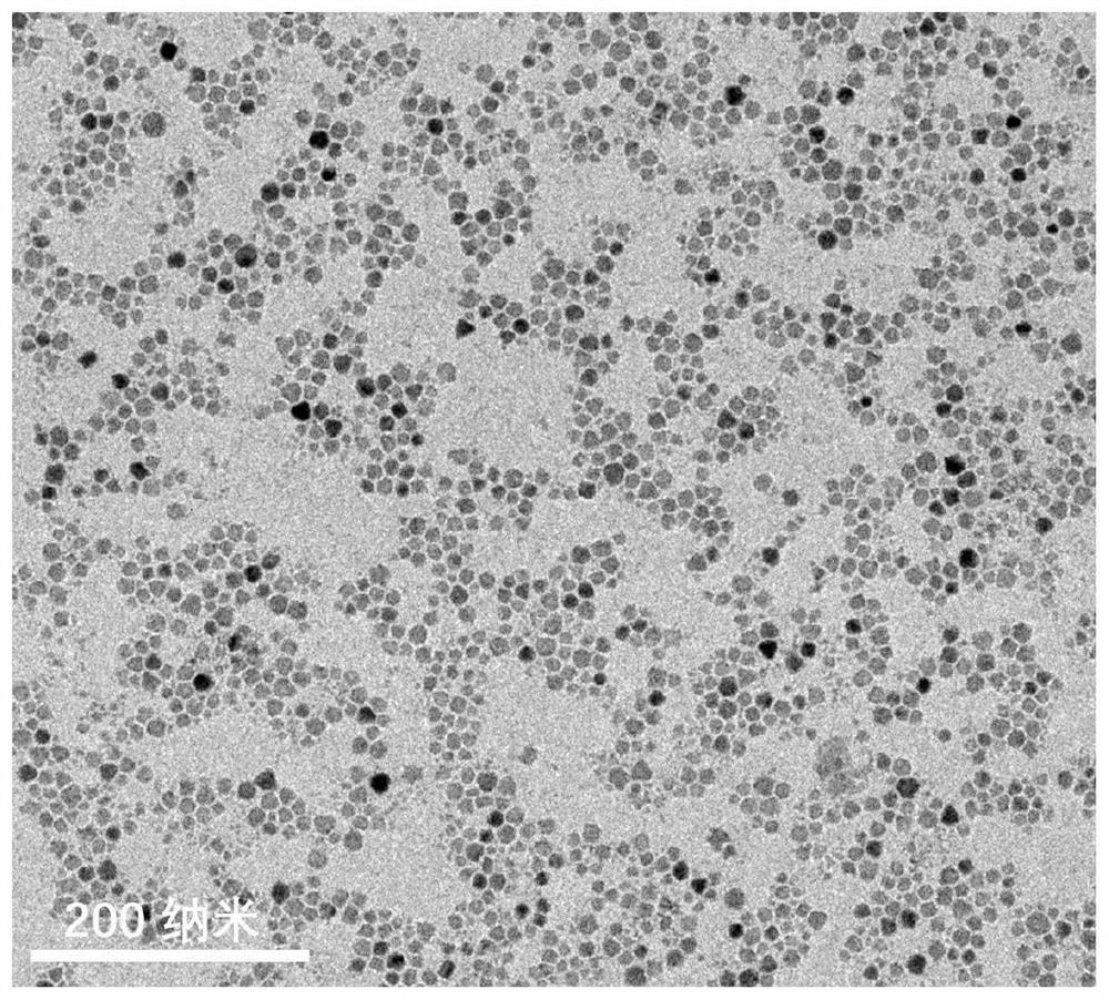 Copper gallium sulfide/zinc selenide core-shell structure quantum dot and preparation method and application thereof