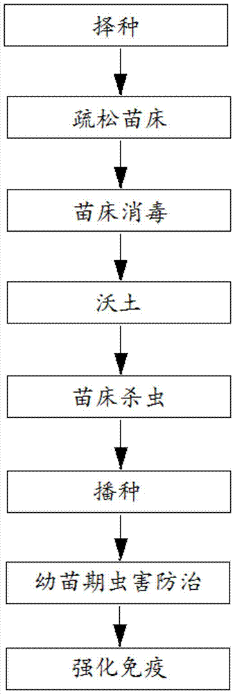 A method for comprehensive prevention and treatment of Panax notoginseng yellow bud zhashui