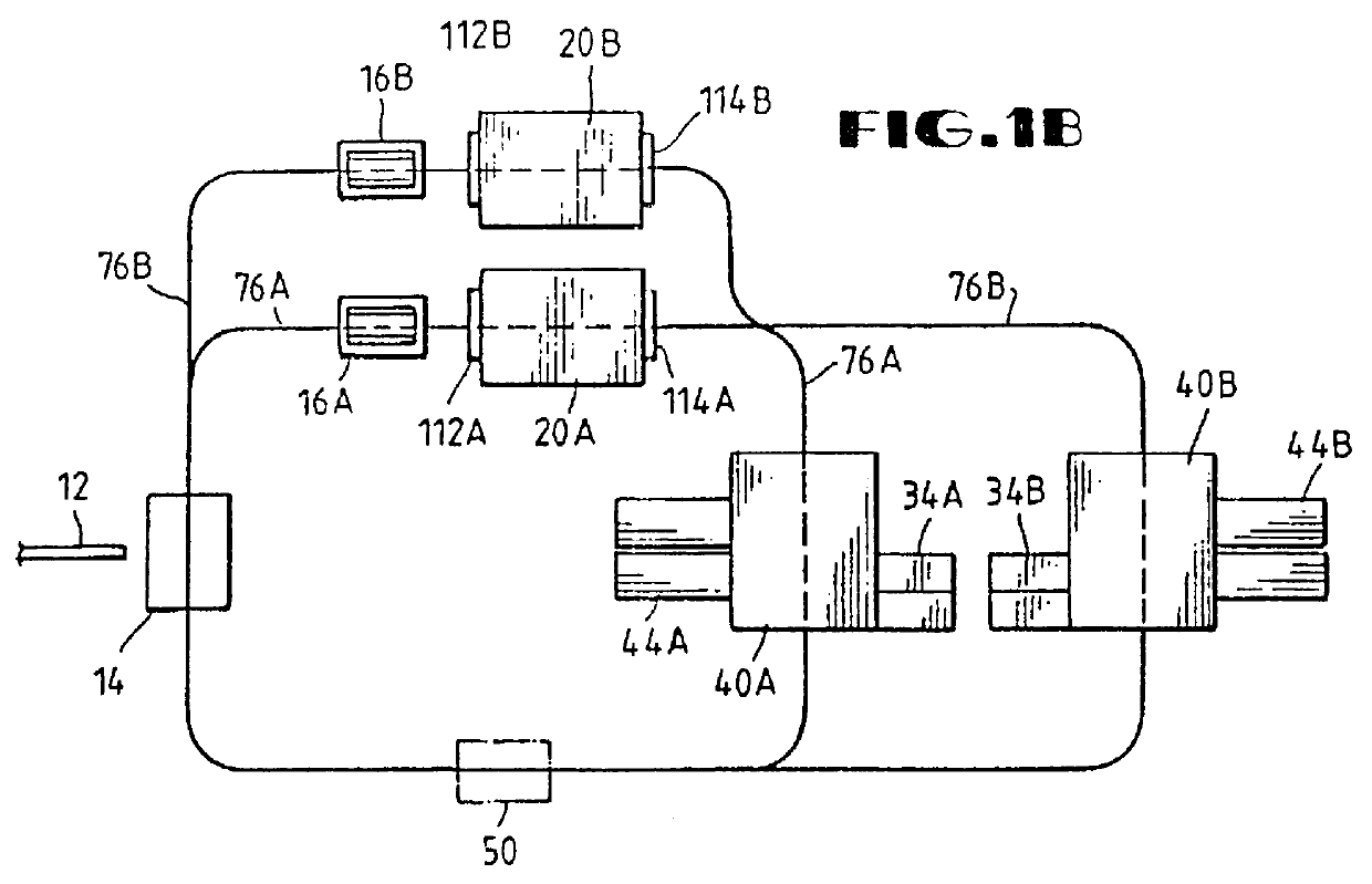 Method and apparatus for automatically segmenting animal carcasses