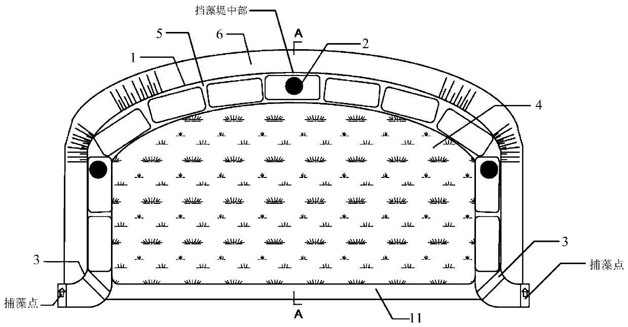 An algae-collecting and algae-retaining algae-guiding enclosure system