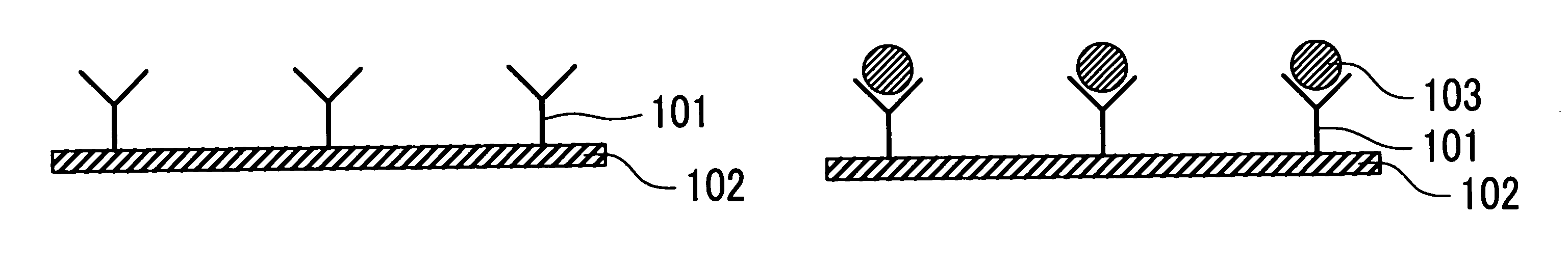 Immunoassay system and immunoassay method