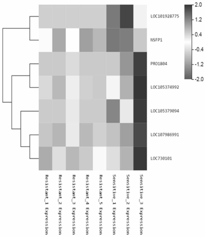 Application method, detection and treatment preparation of long chain non-coding RNA LOC730101