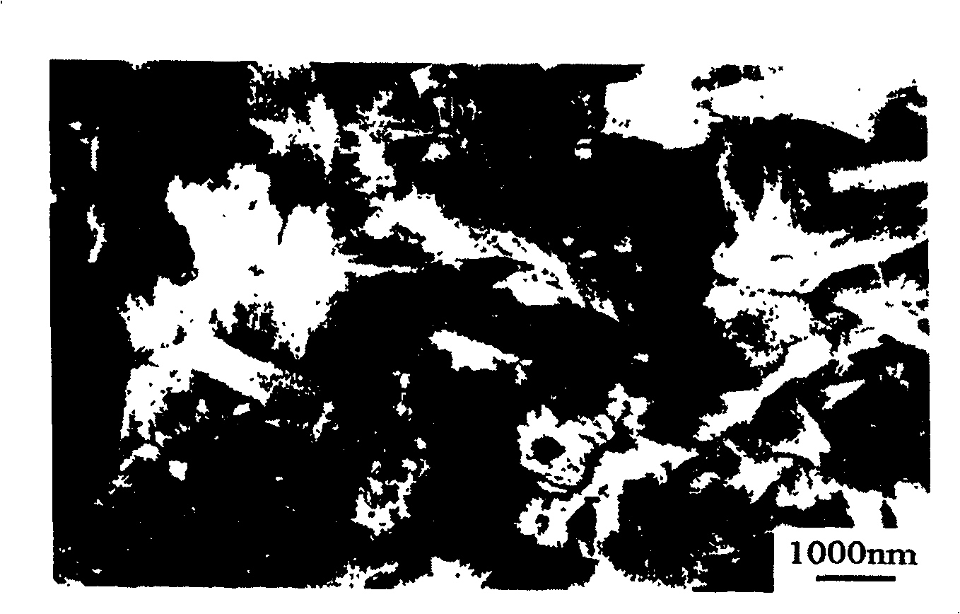 Method for preparing Ag sensitized zinc oxide photocatalyst with visible light activity