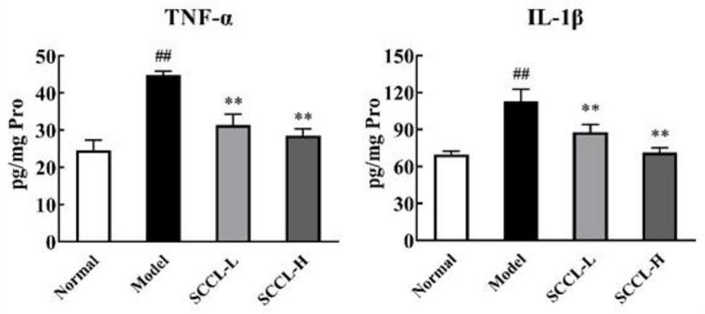 Application of sea cucumber cooking liquor dry powder in preparation of products for preventing and treating acute stomach injury