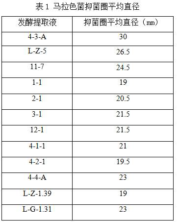 Lactobacillus plantarum and application thereof