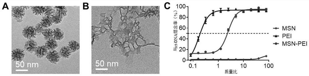 Nanometer material capable of efficiently removing cfDNA and ROS as well as preparation method and application of nanometer material