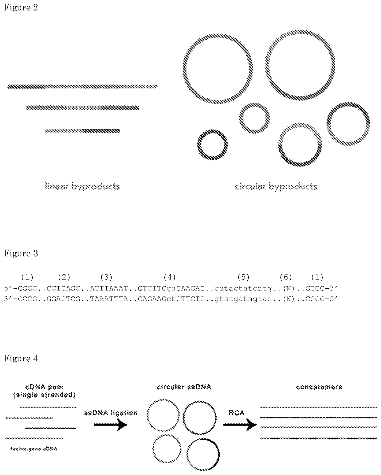 Methods for preparing nucleic acid molecules for sequencing