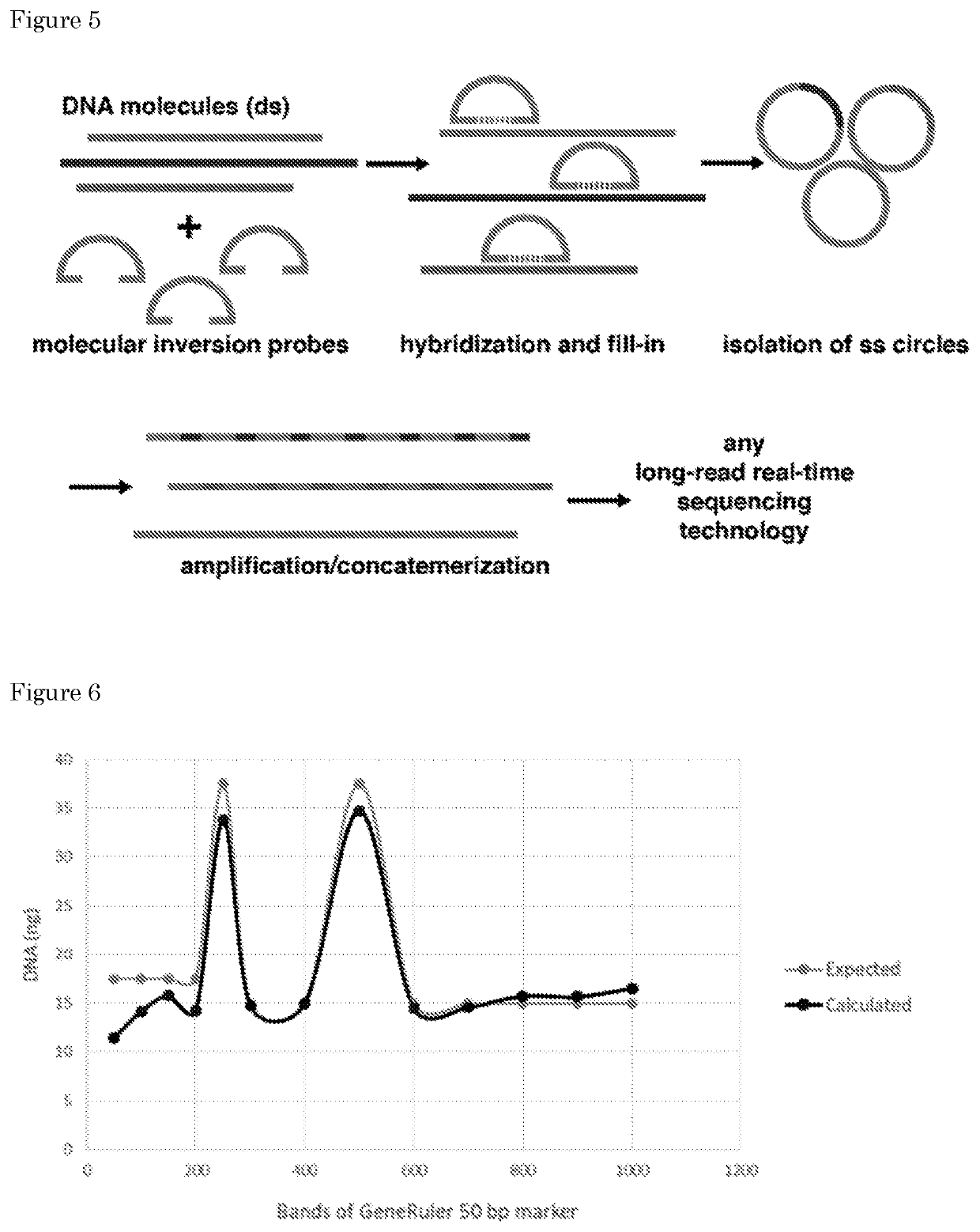 Methods for preparing nucleic acid molecules for sequencing