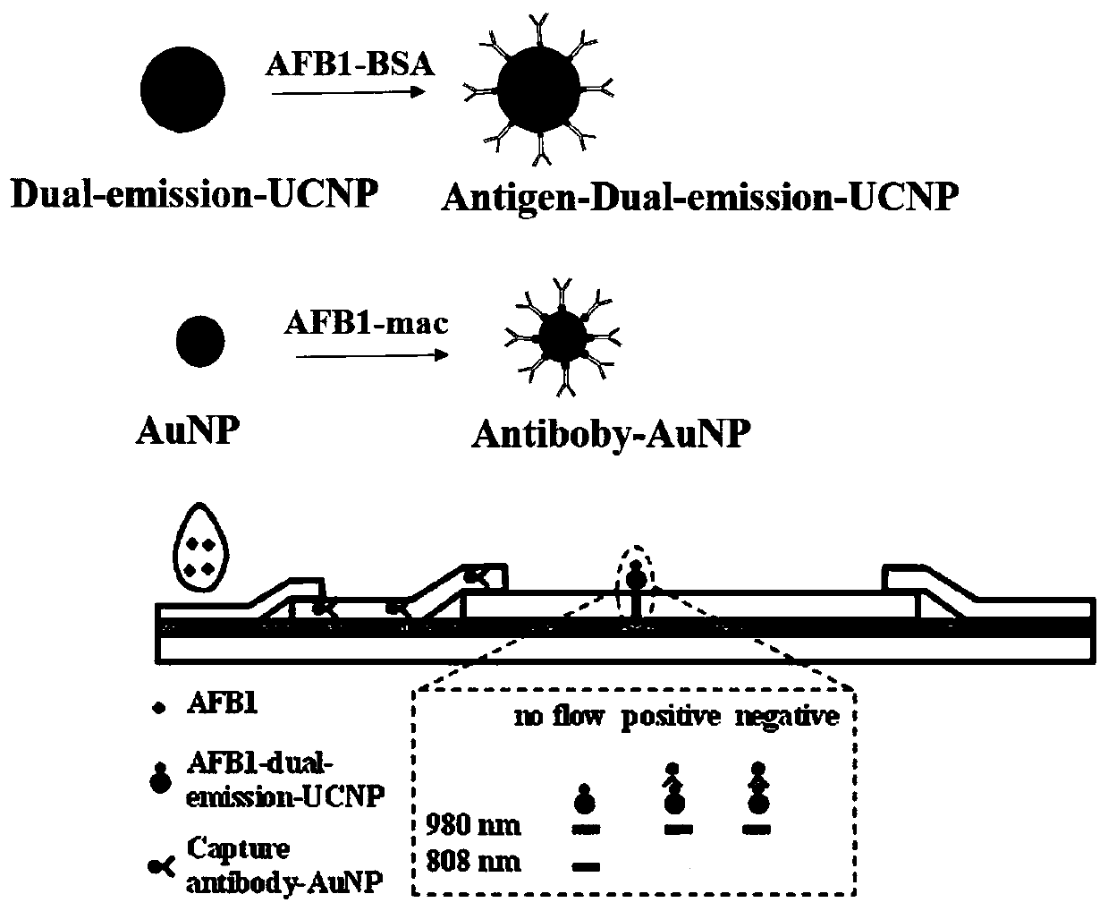 Fluorescence-quenched colloidal gold immunochromatographic test strip, preparation method and application of fluorescence-quenched colloidal gold immunochromatographic test strip