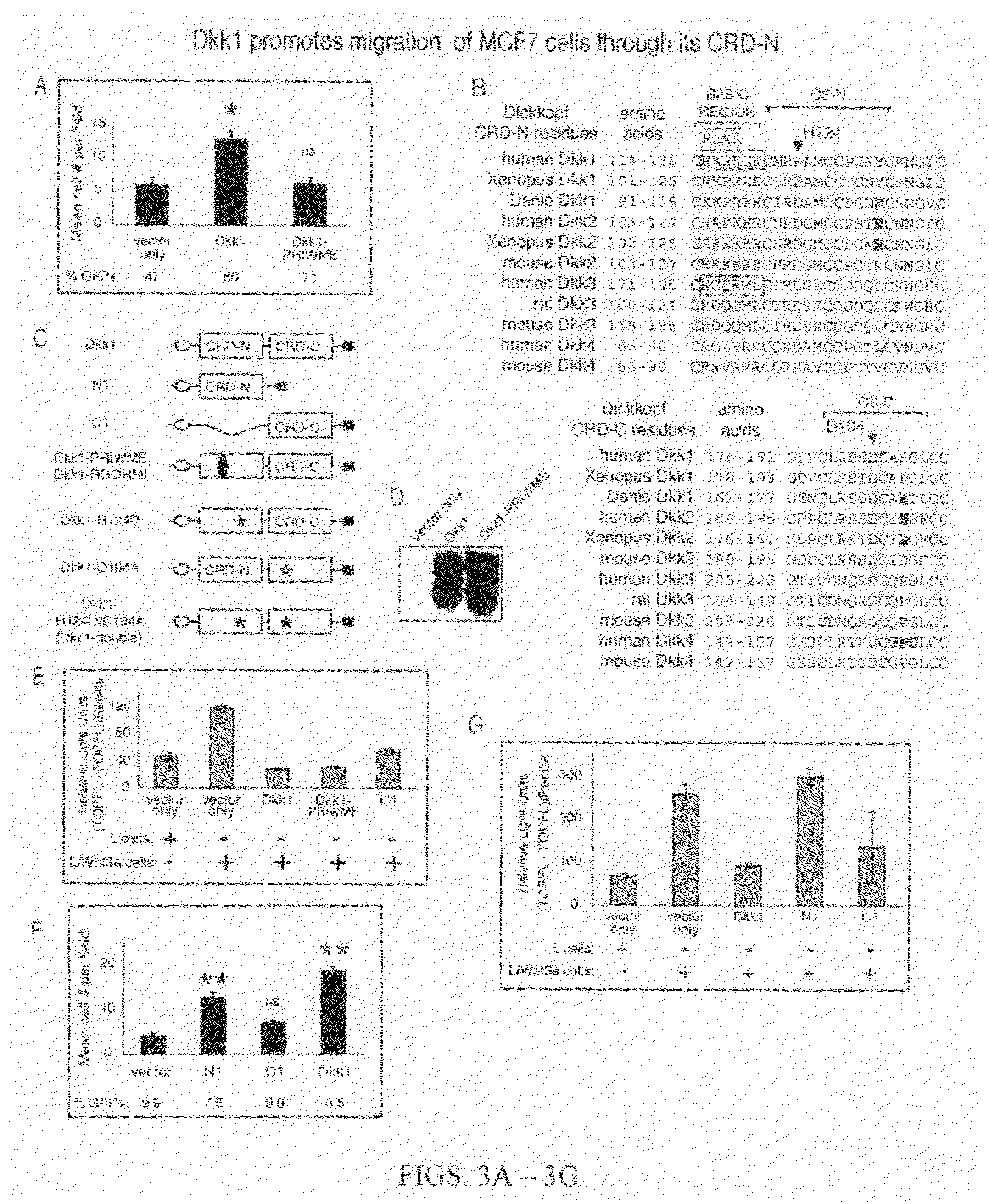 Compositions and methods for inhibiting cell migration