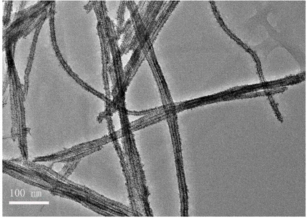 Method for polypeptide biomimetic preparation of platinum catalyst for fuel battery and application of platinum catalyst for fuel battery