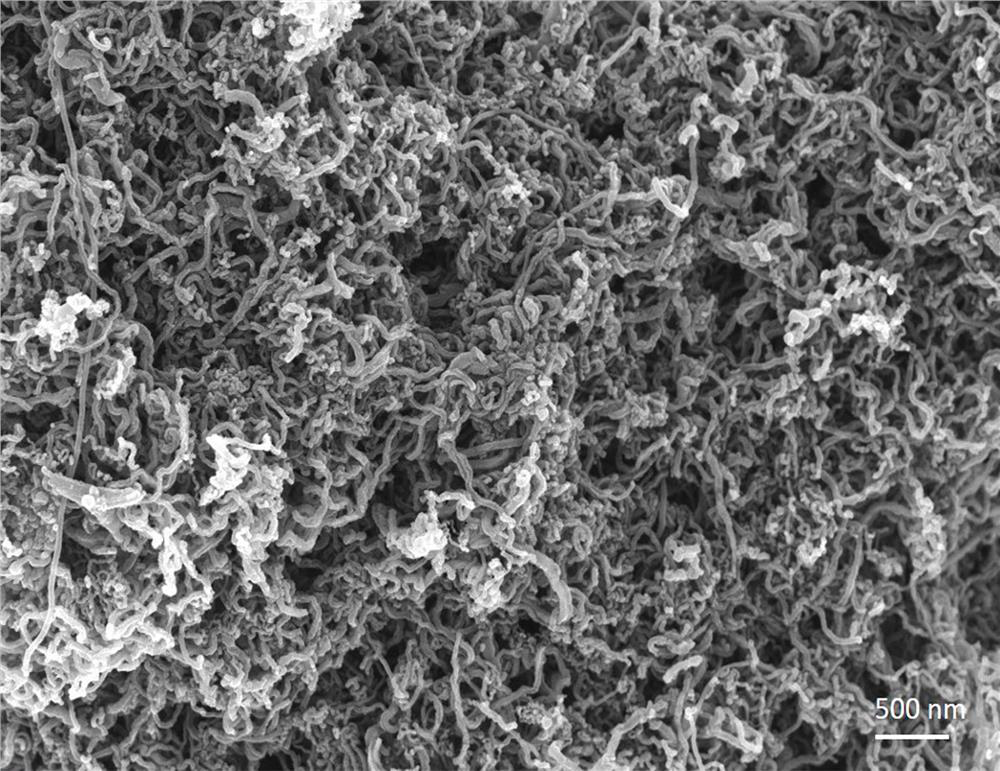 Preparation method of carbon quantum dot-carbon nanotube composite material with high adsorption performance