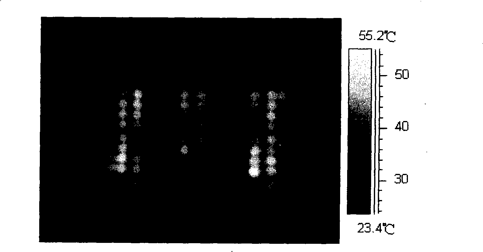 Continuous microwave heating apparatus