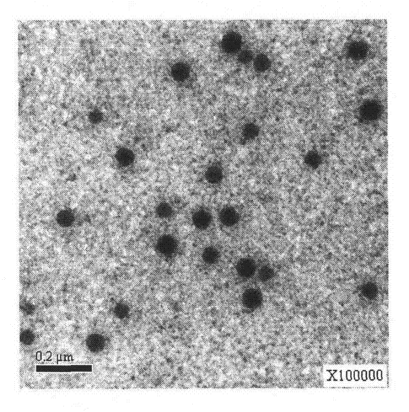 Enrofloxacin nano emulsion and method for preparing same