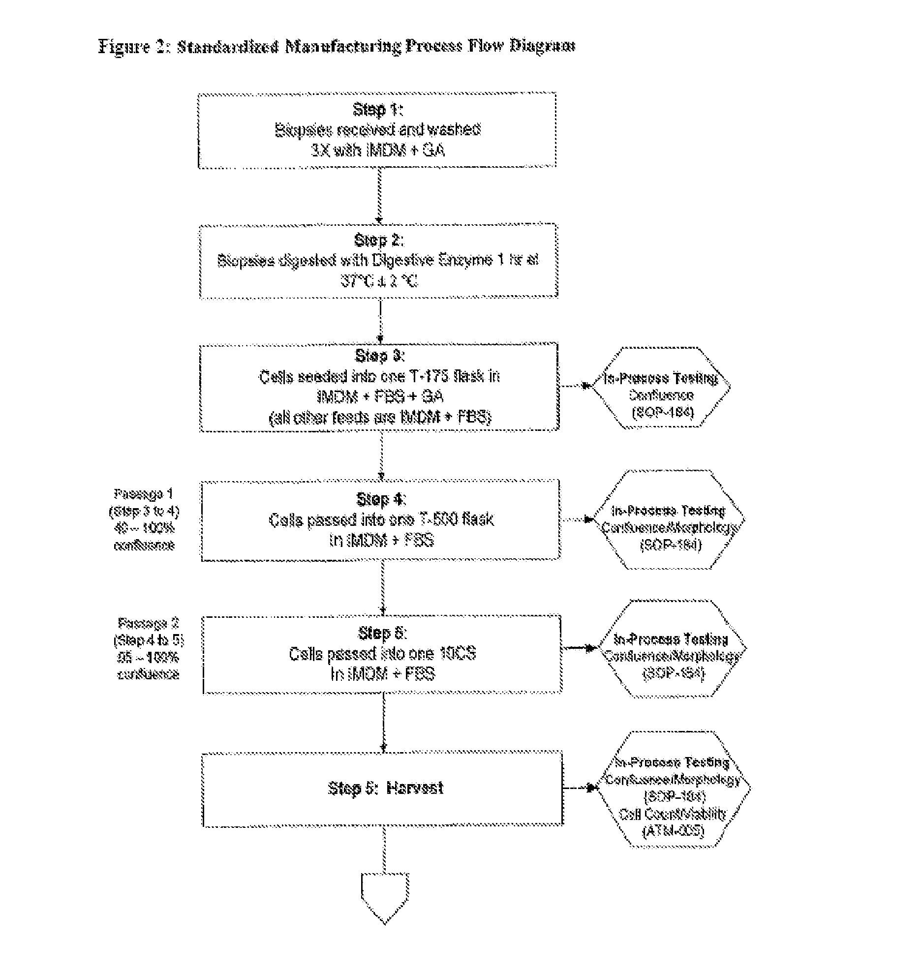 Treatment of Vocal Cords with Autologous Dermal Fibroblast Formulation