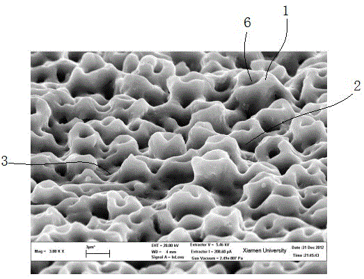 Medical titanium implant micro-arc oxidation film layer and preparation method