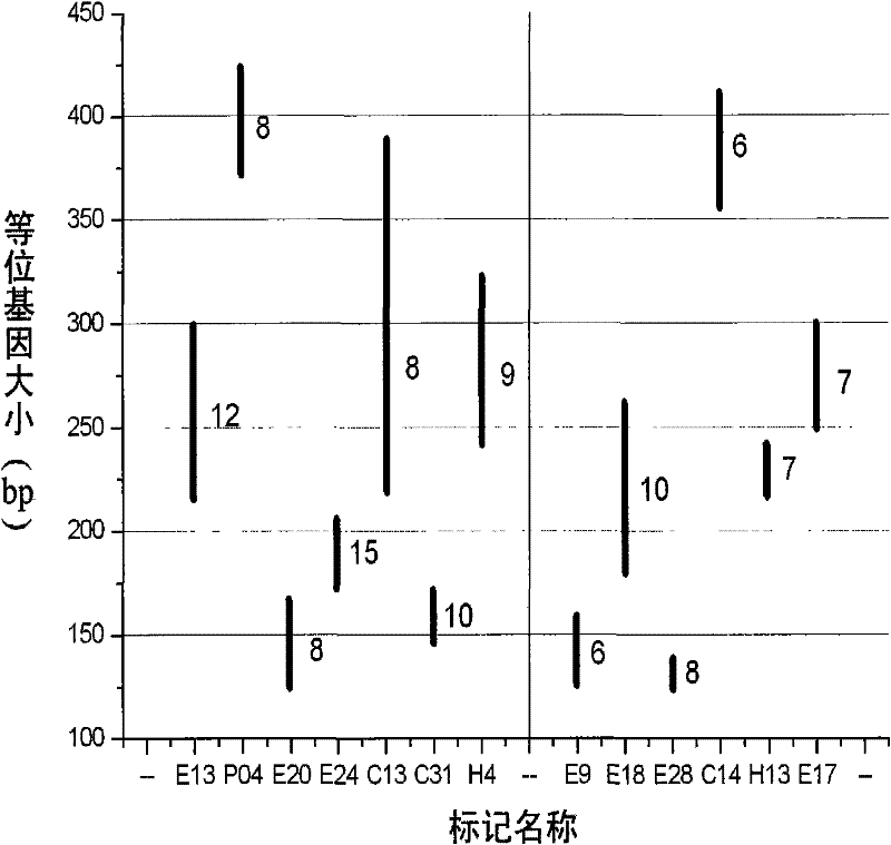 Polynary high-throughput genetic marking system and genetic analysis method for blue crabs