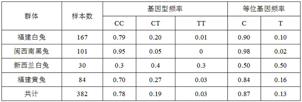 SNP (Single Nucleotide Polymorphism) molecular marker related to muscle drip loss character of meat rabbit and application of SNP molecular marker