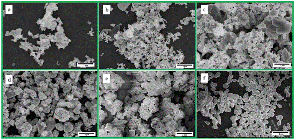 Photocatalyst and preparation method and application thereof