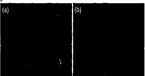 Preparation method of self-assembled spindle-shaped nanostructure lithium iron phosphate