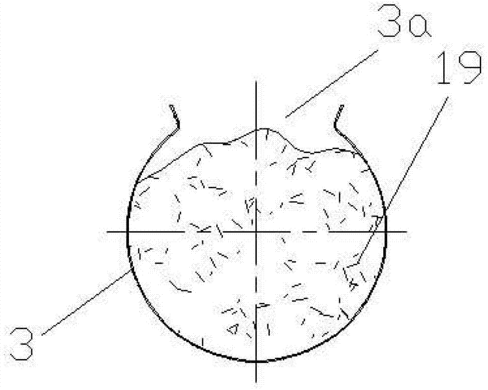 Spiral self-stirring dry fermenting device and method