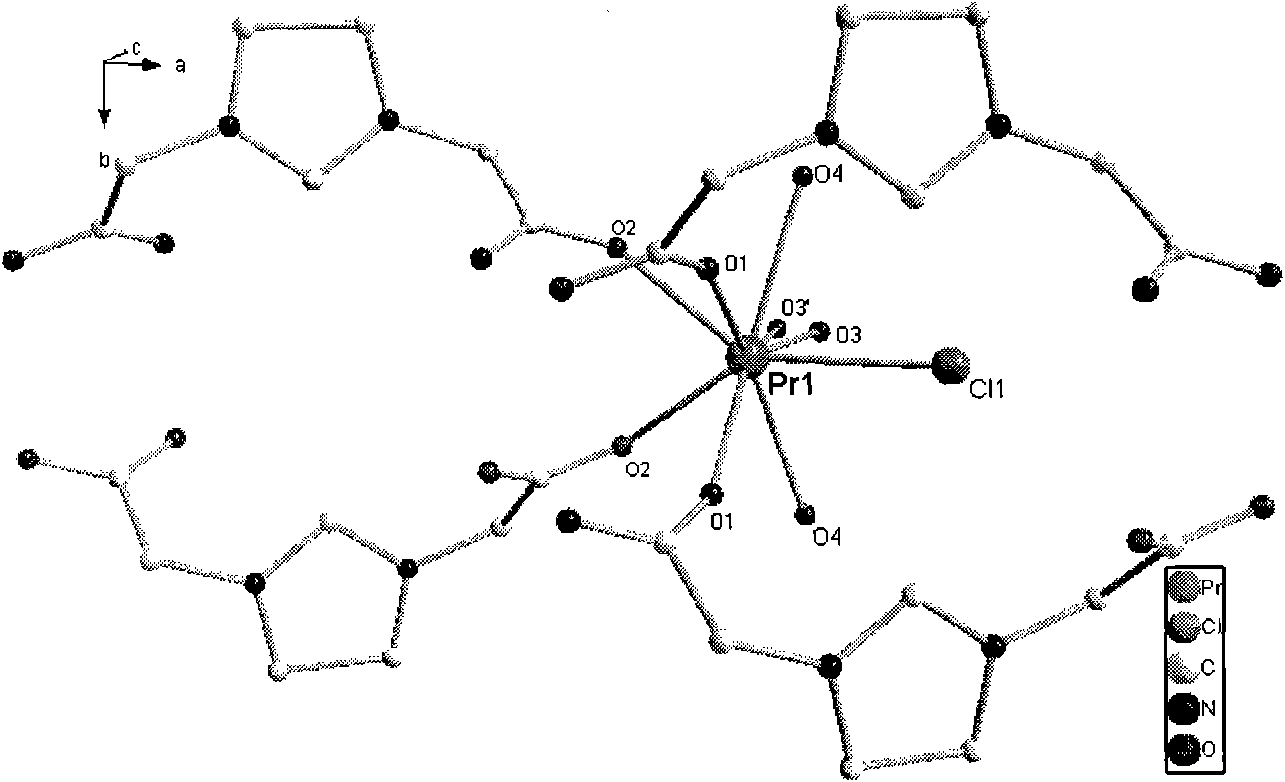 Ionic rare-earth metal organic coordination polymer and preparation method thereof