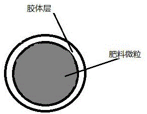 A kind of micromicelle particle fertilizer and its application