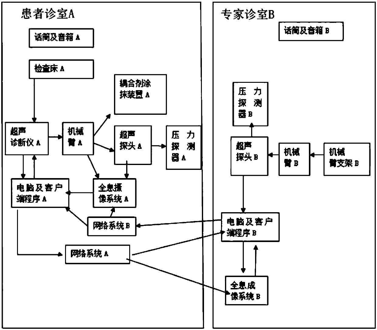 Remote medical ultrasonic examination system and method